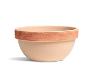 Scratched Ibis Bowl