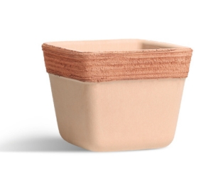Scratched Square Pot