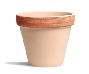 Scratched Standard Pot