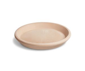 Arena Wtrres Saucer