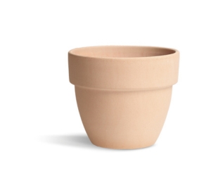 Art.17 Arena Palladio Pot