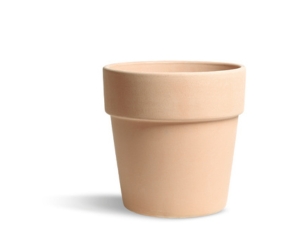 Art.18 Arena Canova Pot (New)